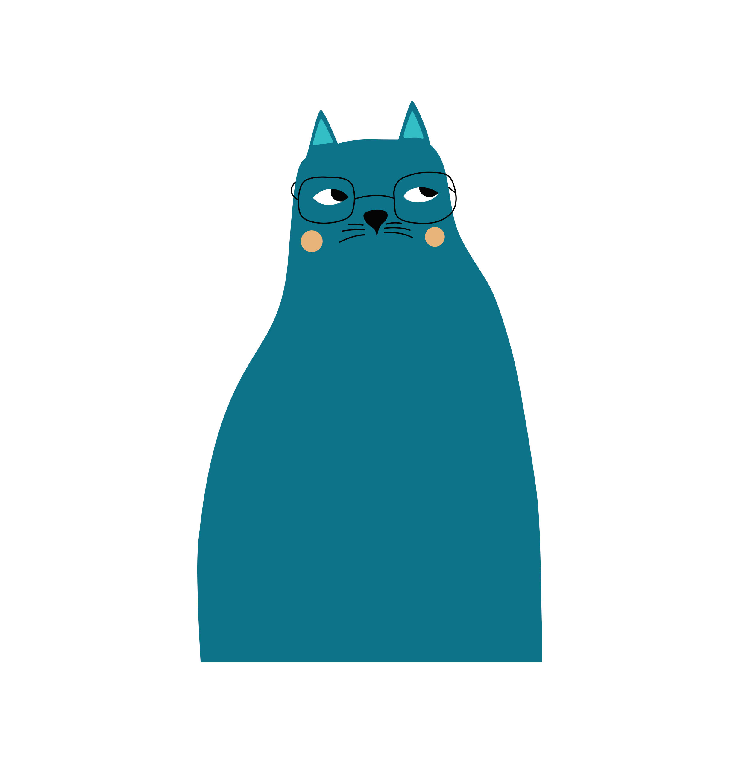 gato