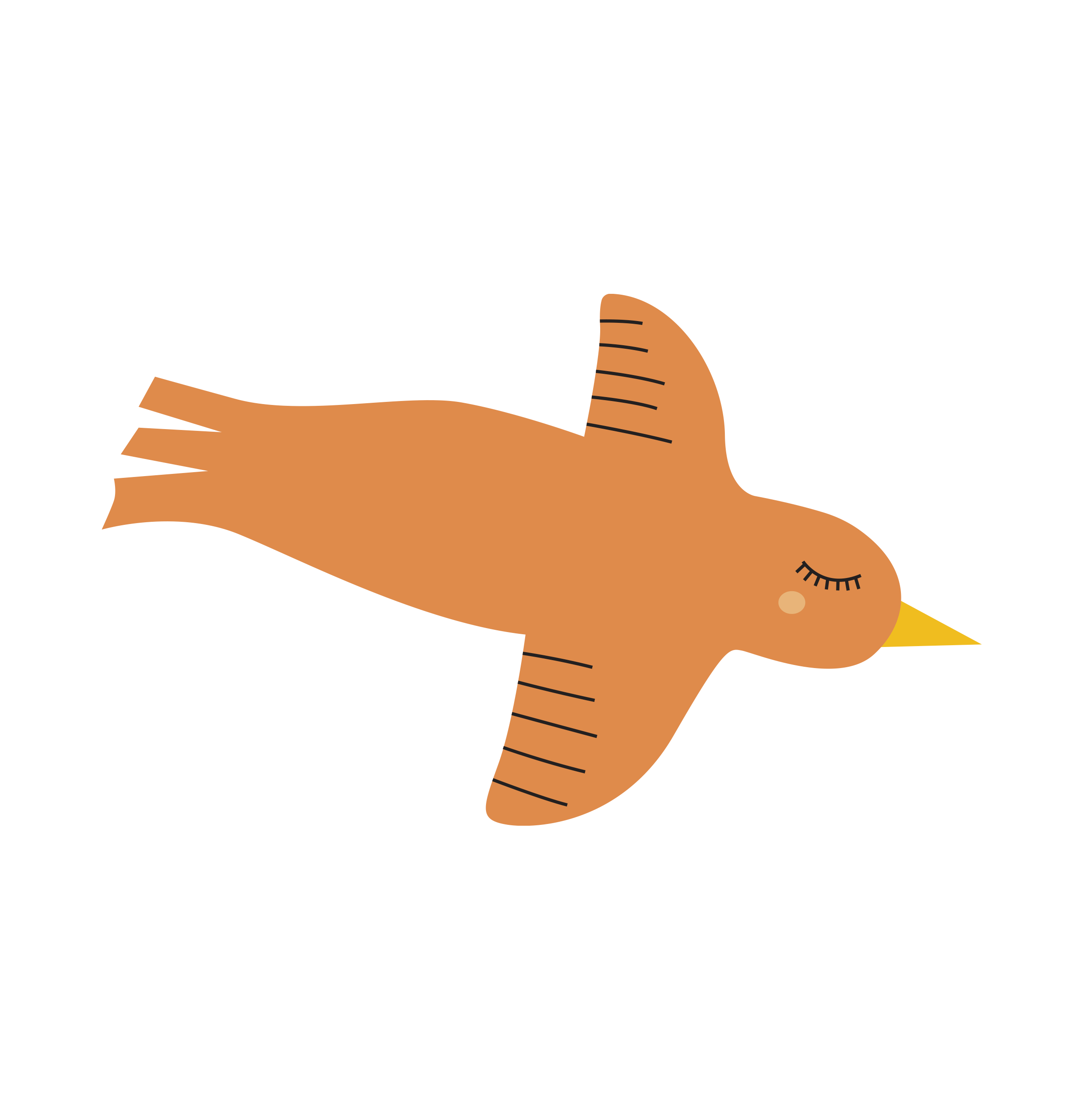pajarito